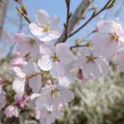 ヒメ日記 2026/04/02 19:56 投稿 まゆ 熟女家 京橋店
