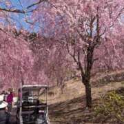 ヒメ日記 2026/04/12 20:36 投稿 まゆ 熟女家 京橋店