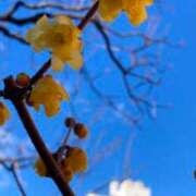 ヒメ日記 2025/01/28 20:04 投稿 ここみ モアグループ神栖人妻花壇