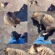 ヒメ日記 2025/01/31 13:32 投稿 ここみ モアグループ神栖人妻花壇