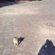 ヒメ日記 2025/02/08 09:01 投稿 ここみ モアグループ神栖人妻花壇