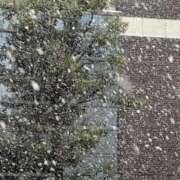 ヒメ日記 2025/03/19 10:43 投稿 ここみ モアグループ神栖人妻花壇