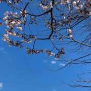 ヒメ日記 2025/03/21 15:23 投稿 ここみ モアグループ神栖人妻花壇