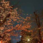 ヒメ日記 2025/03/27 19:41 投稿 ここみ モアグループ神栖人妻花壇