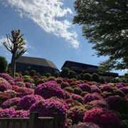 ヒメ日記 2025/04/29 18:05 投稿 ここみ モアグループ神栖人妻花壇