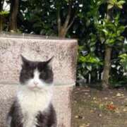 ヒメ日記 2025/05/09 09:40 投稿 ここみ モアグループ神栖人妻花壇