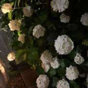 ヒメ日記 2025/06/02 23:17 投稿 ここみ モアグループ神栖人妻花壇