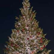 ヒメ日記 2025/12/08 23:07 投稿 ここみ モアグループ神栖人妻花壇