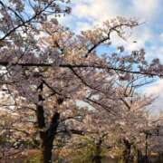 ヒメ日記 2026/04/06 09:27 投稿 ここみ モアグループ神栖人妻花壇