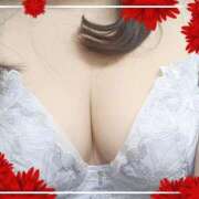 ヒメ日記 2025/11/14 10:49 投稿 ちか 熟女家 堺東店