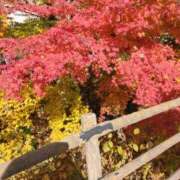 ゆきこ こんばんは😊 完熟ばなな八王子