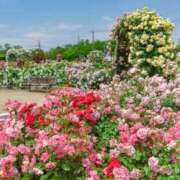 えみり 💖素敵な1日を…✨️✊🏻💖 [優良人妻店]セレブスタイル（山口～防府～萩）