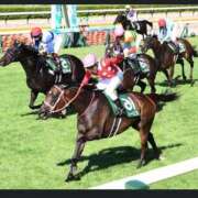 ゆめか こんばんは😆 脱がされたい人妻 春日部店