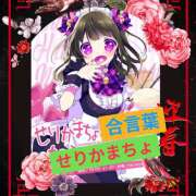 ヒメ日記 2025/08/26 01:33 投稿 なな 熟女の風俗最終章 本厚木店