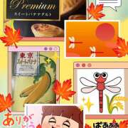 ヒメ日記 2025/09/24 04:52 投稿 なな 熟女の風俗最終章 本厚木店