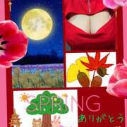 ヒメ日記 2025/09/25 03:32 投稿 なな 熟女の風俗最終章 本厚木店