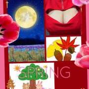 ヒメ日記 2025/09/28 03:52 投稿 なな 熟女の風俗最終章 本厚木店