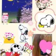 ヒメ日記 2026/03/24 23:11 投稿 なな 熟女の風俗最終章 本厚木店