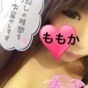 ヒメ日記 2025/03/08 11:31 投稿 瀬戸　ももか OLセレクション宇都宮店