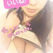 ヒメ日記 2025/03/28 14:30 投稿 瀬戸　ももか OLセレクション宇都宮店