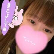 ヒメ日記 2025/04/29 20:01 投稿 瀬戸　ももか OLセレクション宇都宮店