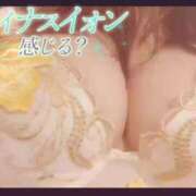 ヒメ日記 2026/07/06 21:06 投稿 瀬戸　ももか OLセレクション宇都宮店