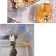 ヒメ日記 2025/08/17 21:40 投稿 翔 奥様クラブ