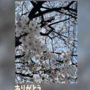 ヒメ日記 2026/04/03 12:05 投稿 翔 奥様クラブ