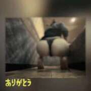 ヒメ日記 2026/05/03 08:20 投稿 翔 奥様クラブ