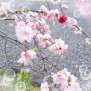 ヒメ日記 2025/04/21 14:04 投稿 りの 人妻日記2nd