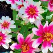 ヒメ日記 2024/12/30 17:03 投稿 のぞみ 完熟ピーチ