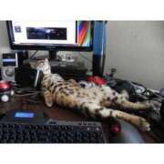 ヒメ日記 2025/02/07 11:33 投稿 のぞみ 完熟ピーチ