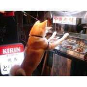 ヒメ日記 2025/02/13 08:22 投稿 のぞみ 完熟ピーチ