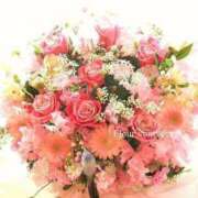 ヒメ日記 2025/02/13 10:49 投稿 のぞみ 完熟ピーチ