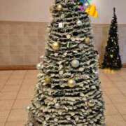 ヒメ日記 2024/12/25 23:34 投稿 はるな 美人専門店 潤