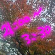 ヒメ日記 2025/12/04 16:15 投稿 はるな 美人専門店 潤