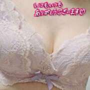 ヒメ日記 2026/02/09 05:45 投稿 はるな 美人専門店 潤