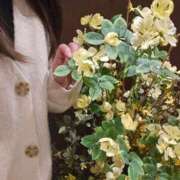 ヒメ日記 2026/03/21 05:45 投稿 はるな 美人専門店 潤