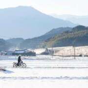 ヒメ日記 2025/08/12 01:15 投稿 伊藤もゆ 派遣社淫