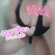 ヒメ日記 2025/10/21 16:52 投稿 ゆりあ サクラムーン