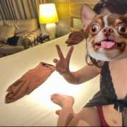 ヒメ日記 2025/03/05 18:33 投稿 蒼井なぎ 性感回春アロマSPA金沢店