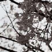 ヒメ日記 2025/04/08 17:12 投稿 蒼井なぎ 性感回春アロマSPA金沢店