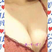 ヒメ日記 2025/09/26 11:31 投稿 レオ ルパン