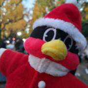 ヒメ日記 2024/12/24 09:29 投稿 マミ ルパン