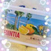 ヒメ日記 2025/03/31 18:16 投稿 マミ ルパン