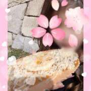 ヒメ日記 2025/04/05 09:35 投稿 マミ ルパン