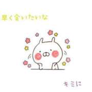 ヒメ日記 2025/04/29 09:14 投稿 マミ ルパン