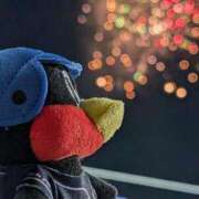 ヒメ日記 2025/05/24 11:15 投稿 マミ ルパン