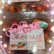 ヒメ日記 2025/06/11 07:11 投稿 マミ ルパン