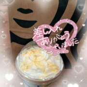 ヒメ日記 2025/06/29 07:11 投稿 マミ ルパン